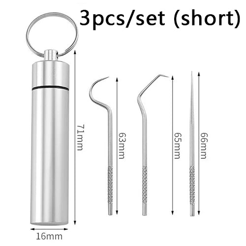 Toothpicks Pocket - Conjunto De Palito De Dente De Aço Inoxidável