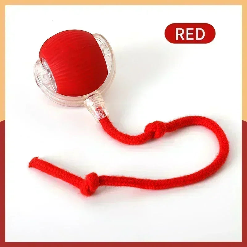 Smart Ball - Bola Eletrônica
